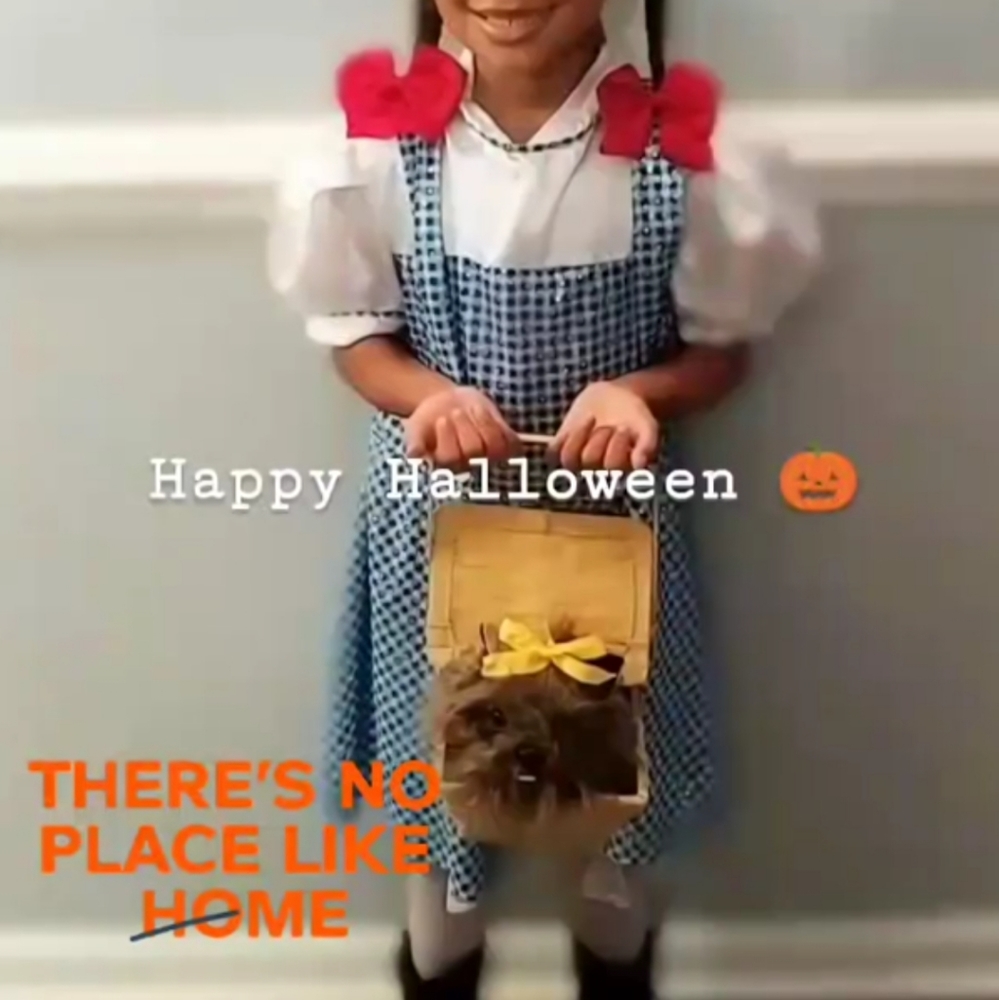 Dorthy and Toto play pretend costume